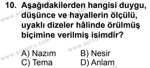 Türk Edebiyatı 8 Dersi 2012-2013 Yılı 3. Dönem Sınavı 10. Soru