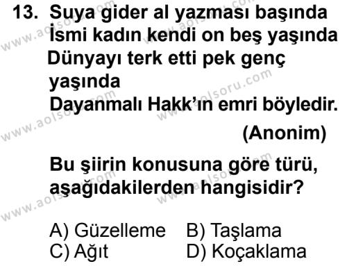 Türk Edebiyatı 8 Dersi 2012-2013 Yılı 3. Dönem Sınavı 13. Soru