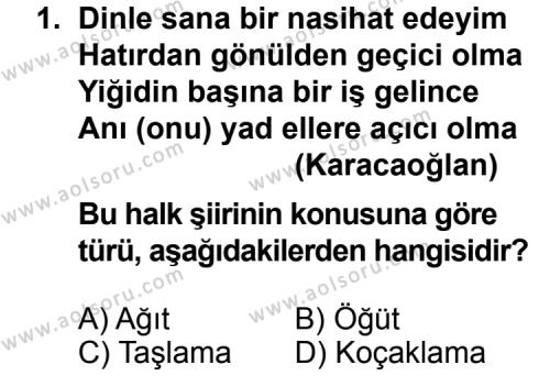 Türk Edebiyatı 8 Dersi 2013 - 2014 Yılı 2. Dönem Sınav Soruları 1. Soru